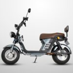 X11CINZA2